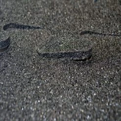 Titan Tile Black 18 in. x 18 in. Rubber Tile Flooring (6-Pack) by FANMATS -CheapFANMATS || Bruce Store matte fanmats gym floor tiles mm7010 66 1000